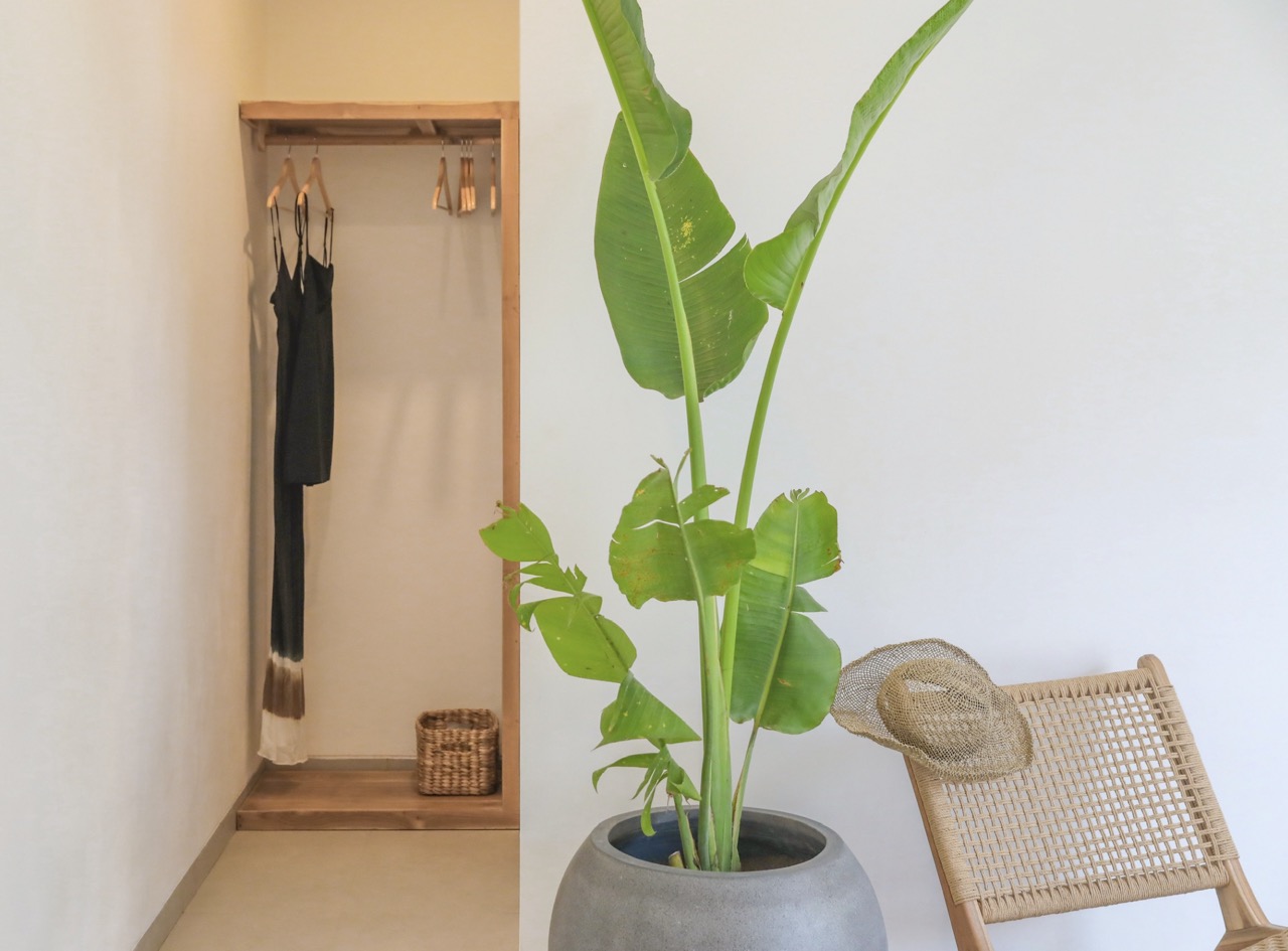 IMG_6854 - dimensioni grandi